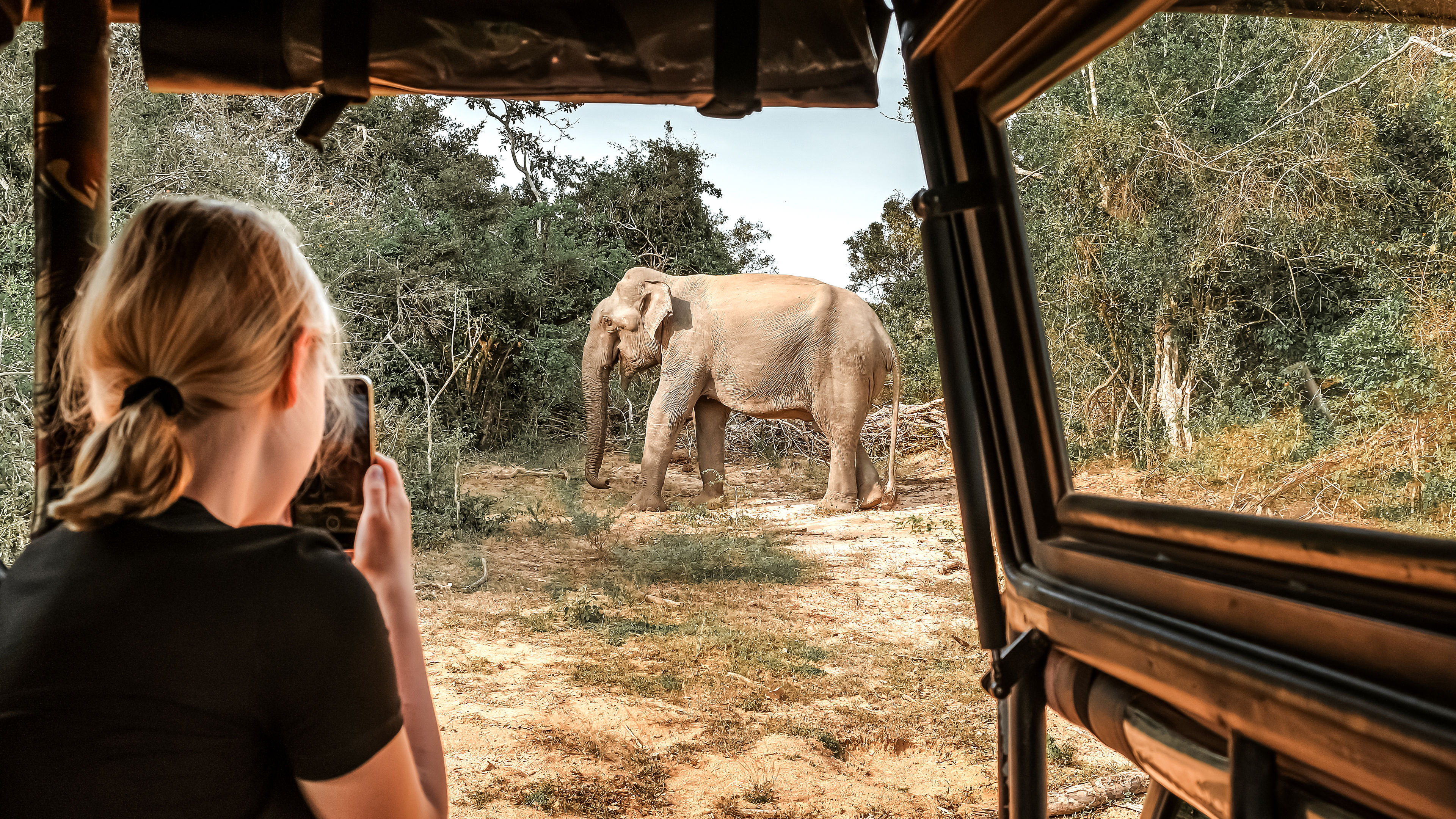 A woman enjoying a safari